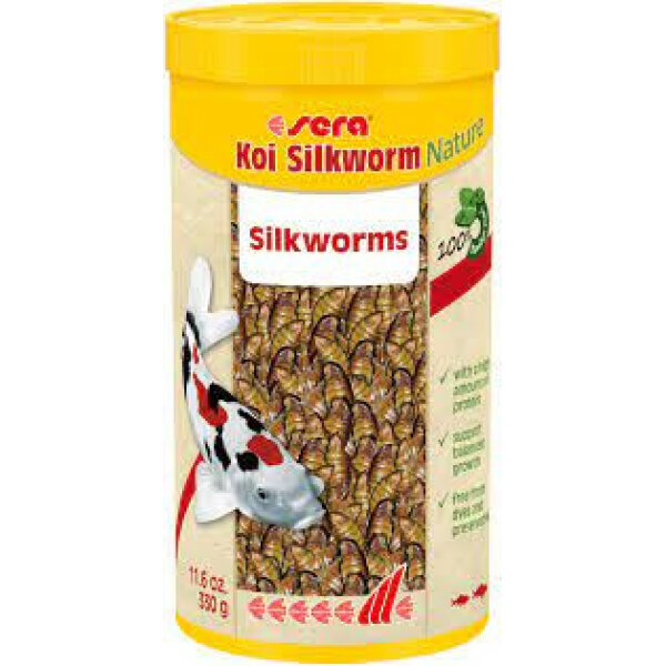 koi silkworm nature