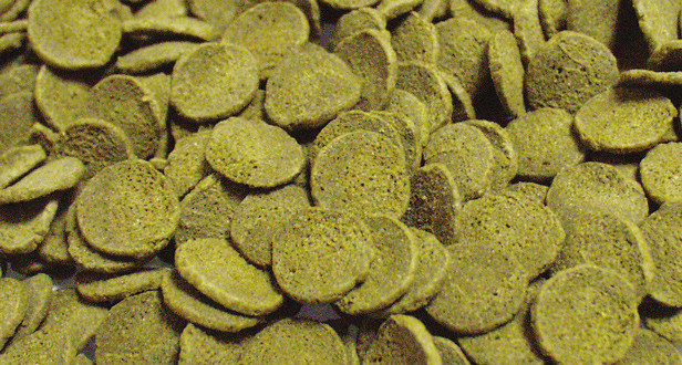 sera catfishwels chips nature 250 ml 1