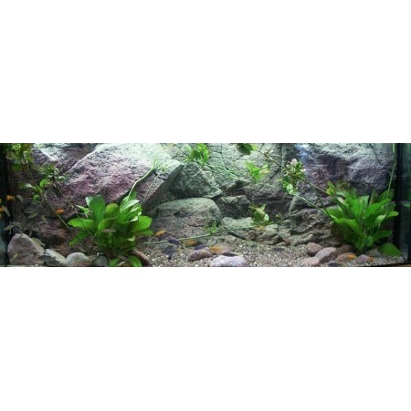 back to nature pozadie do akvaria rocky 130 x 50 cm
