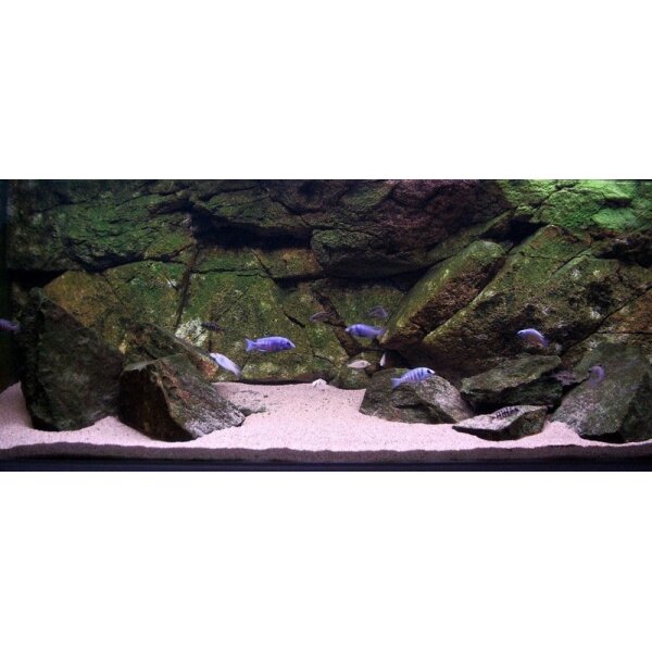back to nature pozadie do akvaria rocky 150 x 50 cm