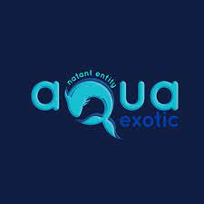Aqua Exotic